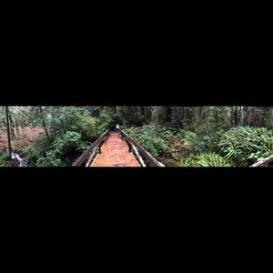 Meet your Posher, Isaac